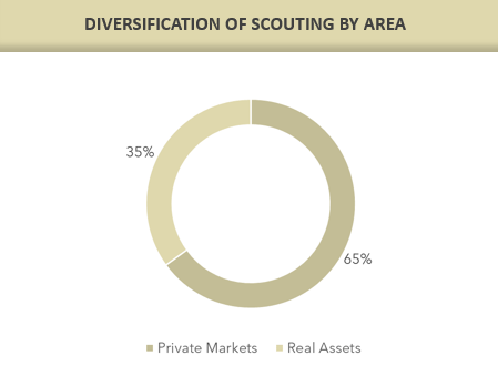 grafico diversification scouting area